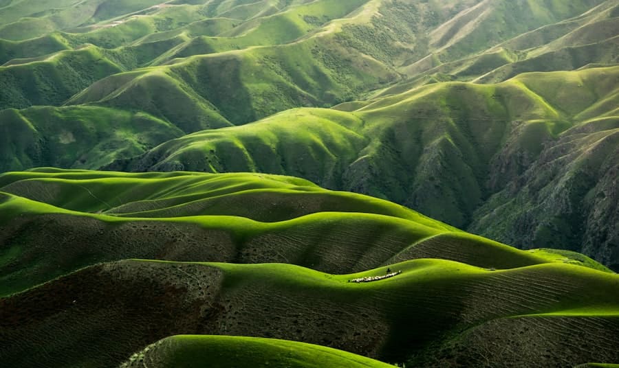 Disciplined investors navigate complexity rather than avoid it